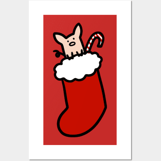 Christmas Stocking Pig Posters and Art